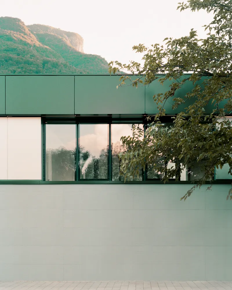 Two-story elevation with green metal cladding and ribbon glazing framed by leafy tree branches
