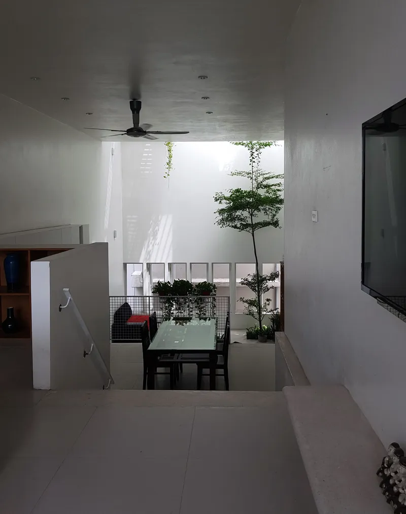Interior view of a double-height dining area with a slender tree rising beside a glass table