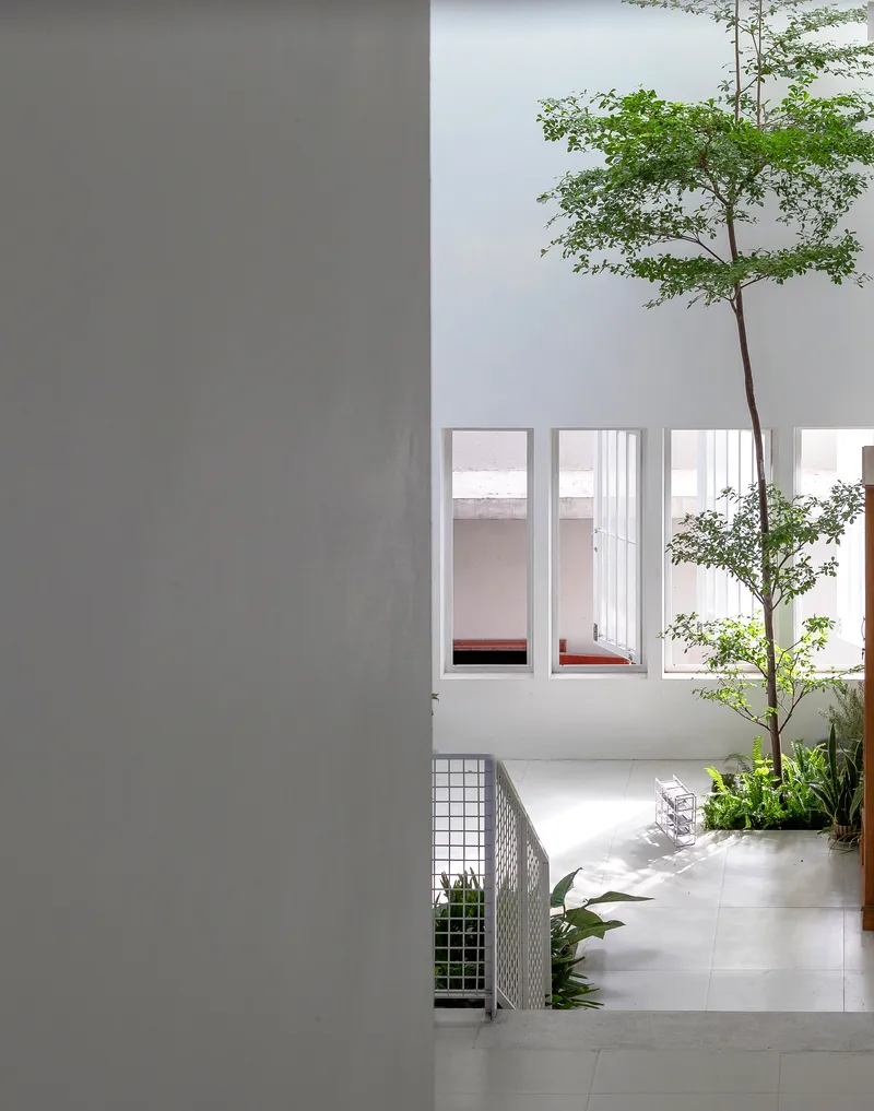 Internal courtyard with a tall tree growing through a slab opening beside gridded metal planters