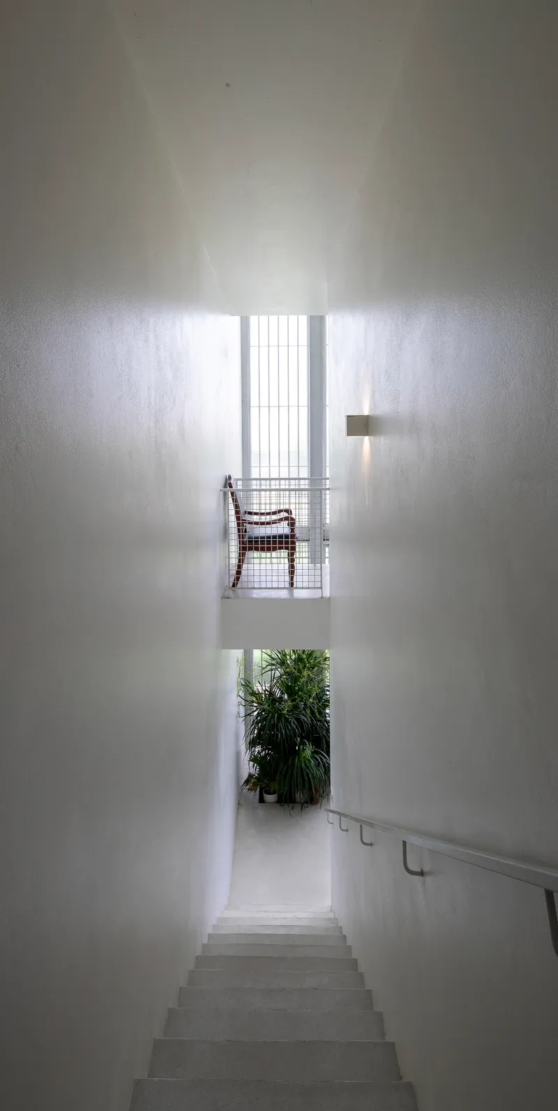 Stairwell view down concrete steps toward a planted landing and wire mesh balustrade with chair above