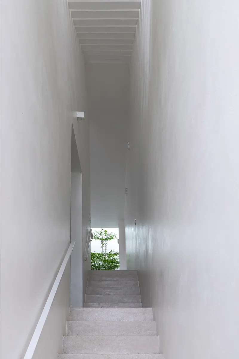 Narrow staircase descending between white walls toward a small tree visible at the landing below