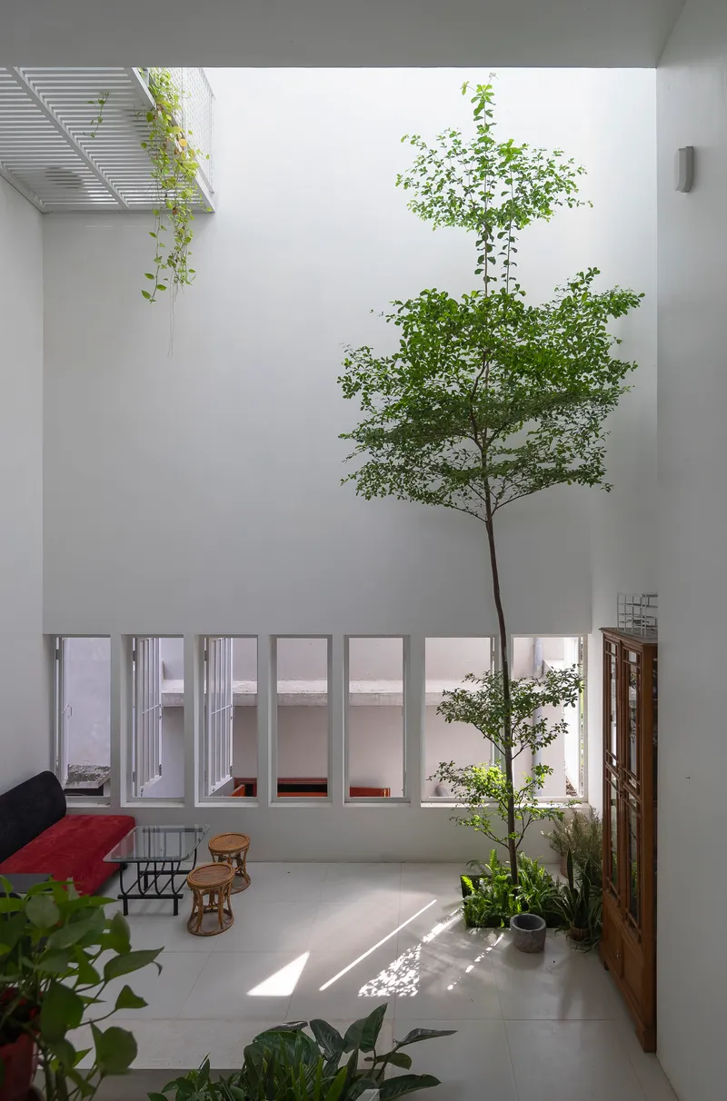 Double-height interior courtyard with a central tree rising through the space and clerestory windows above