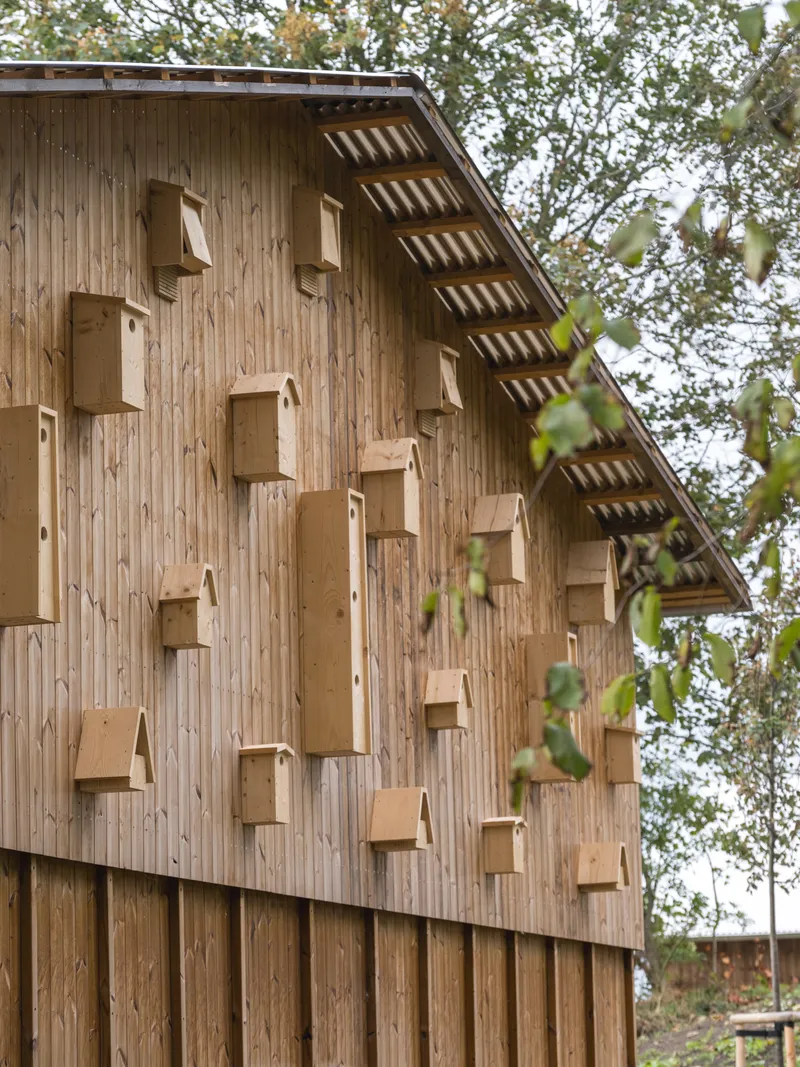 Vertical timber facade with birdhouses mounted in a scattered pattern beneath leafy tree branches