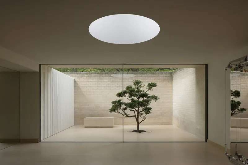 Glass-enclosed courtyard with single bonsai tree and cream brick walls beneath a circular skylight