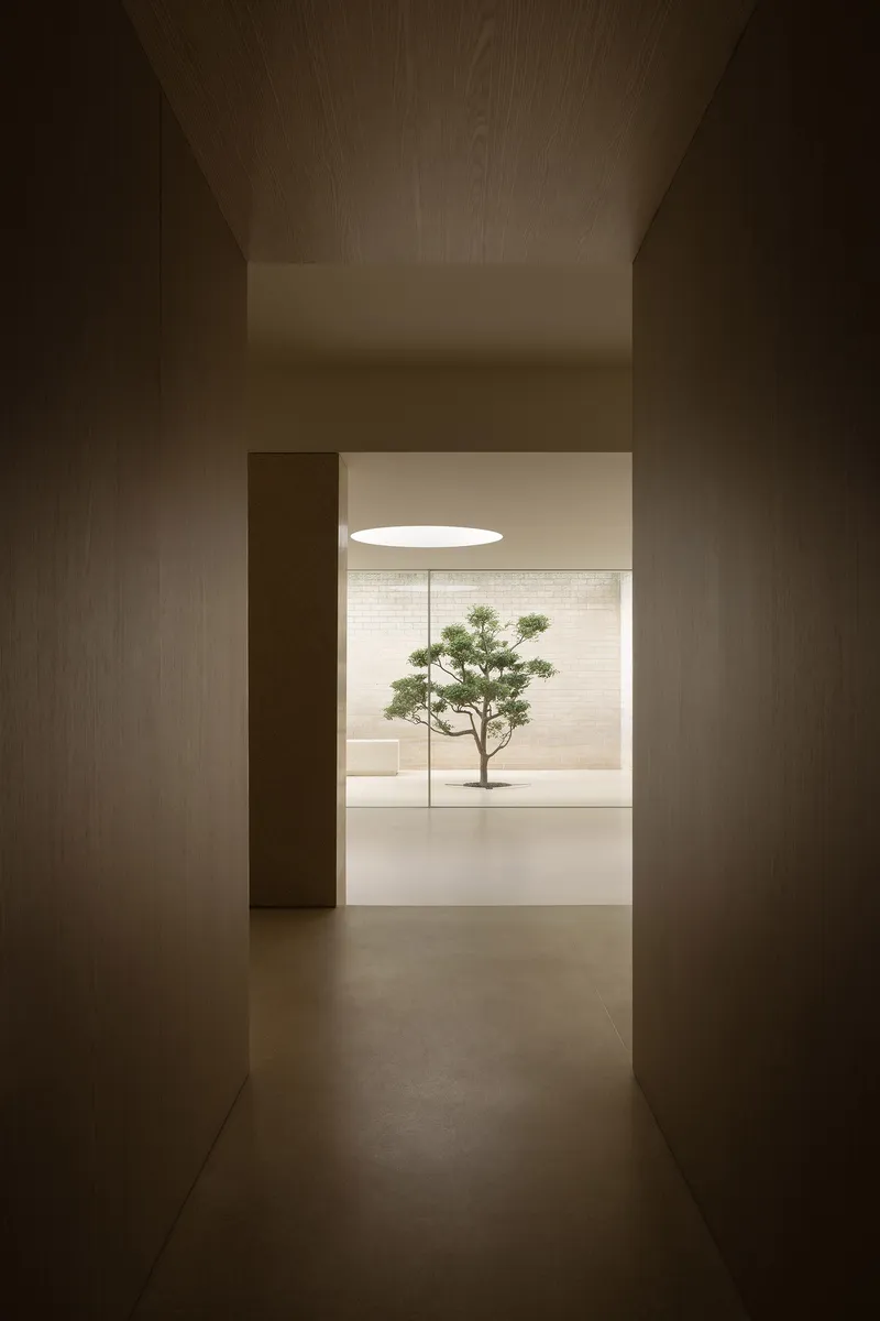 Corridor framing a view through to the courtyard with bonsai tree and circular skylight above