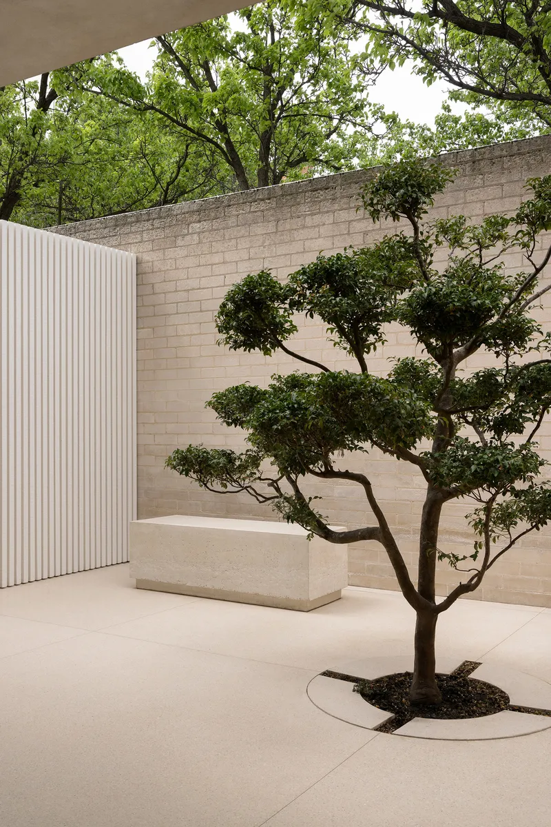 Courtyard with a pruned tree in a circular planter against light-colored brick walls