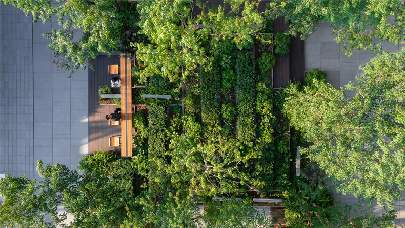 Overhead view of courtyard with timber pavilion structure surrounded by dense tree canopy and paved paths