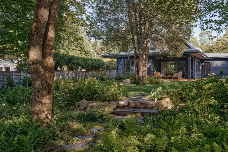 Garden view with stone steps and ferns leading to dark-clad house among mature trees