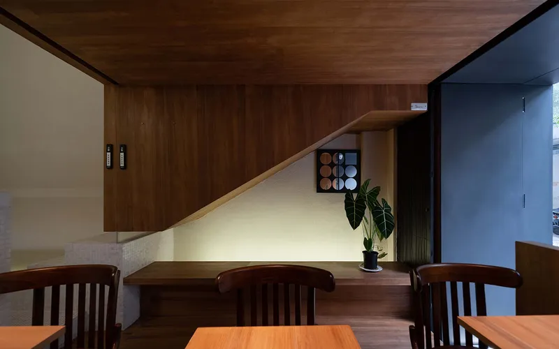 Timber staircase with integrated lighting beneath wood-paneled ceiling and potted plant at base