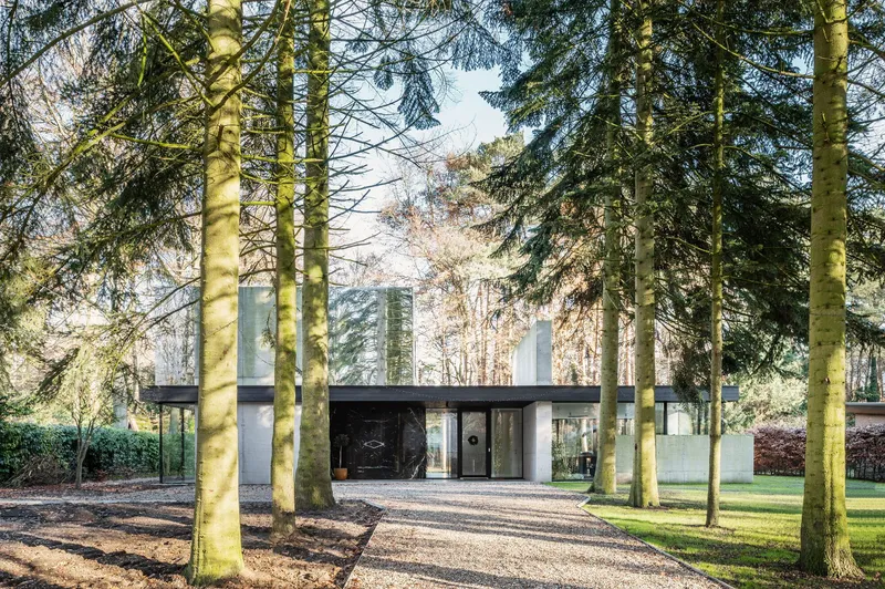 Single-story concrete and glass residence framed by tall conifer trunks on a gravel drive