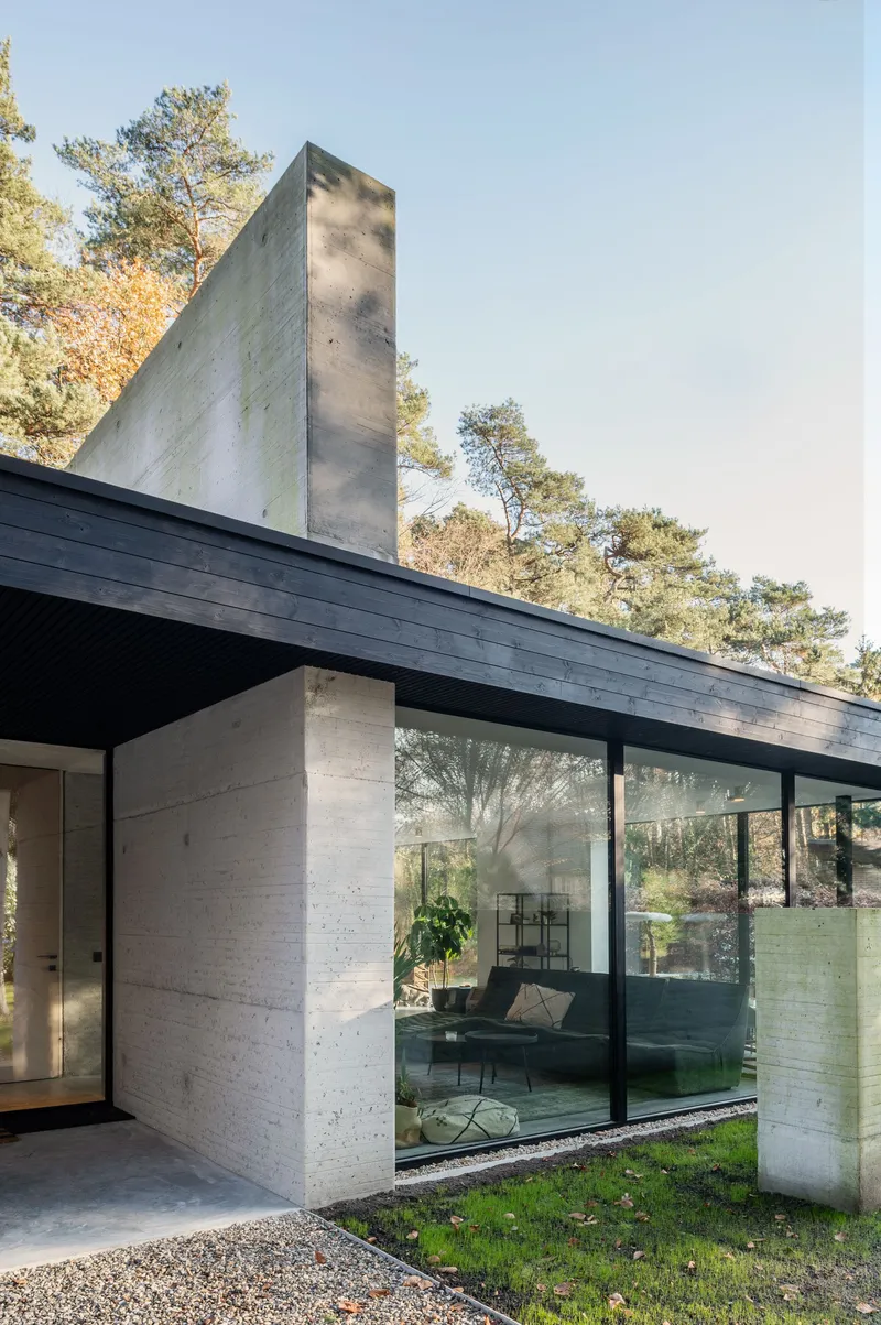 Corner detail showing concrete chimney rising above the dark timber fascia and glazed walls