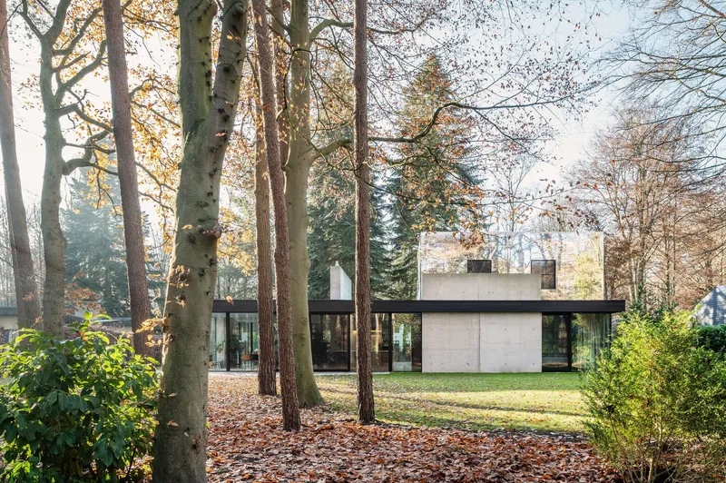 Rear elevation of the residence viewed through scattered deciduous and evergreen trees in autumn