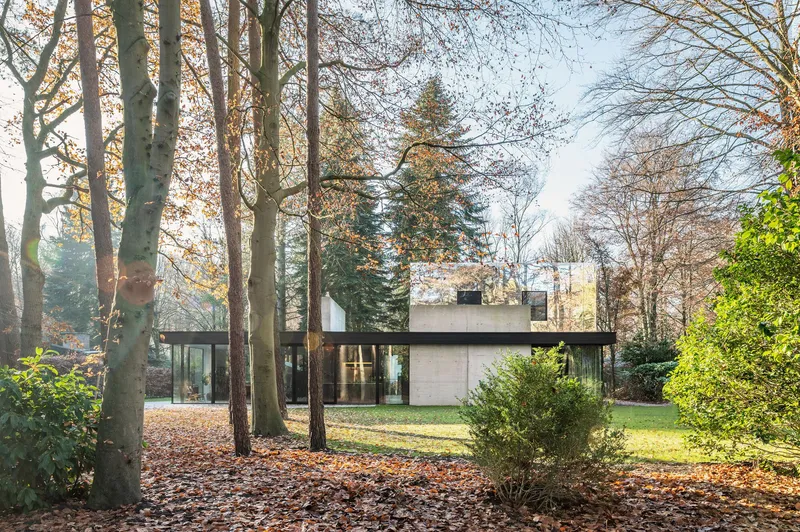 Low-slung concrete and glass residence viewed through bare deciduous trees with autumn leaves underfoot