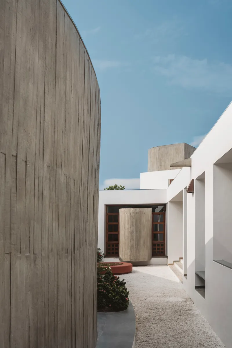 Courtyard with curved board-formed concrete wall alongside white plastered volumes and planted beds
