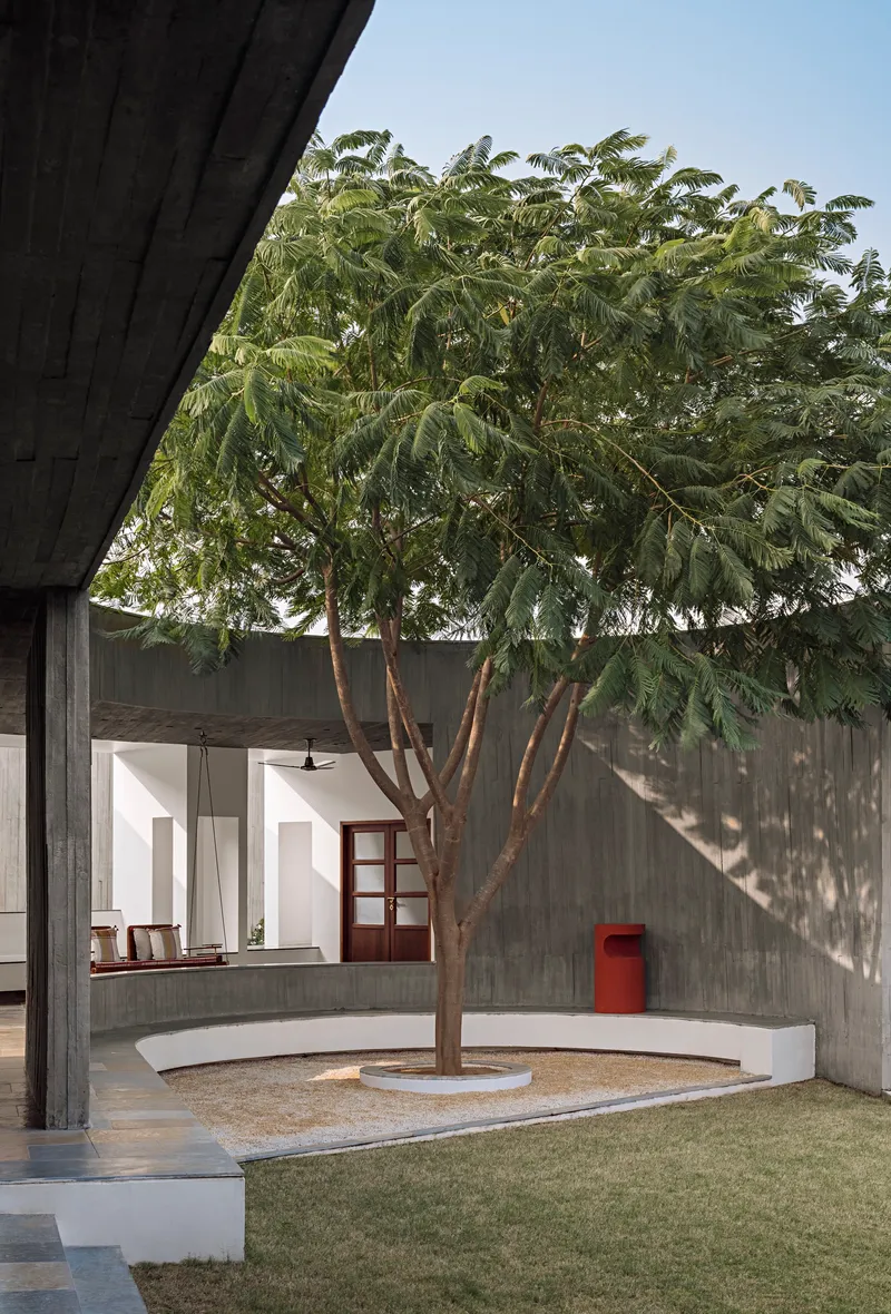Courtyard view with a central tree in a circular planter surrounded by concrete walls and lawn
