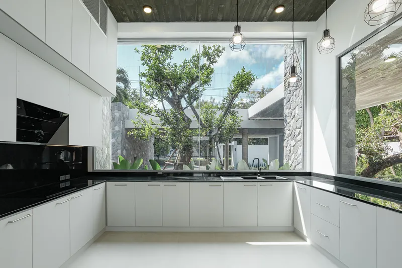 White kitchen with black countertops and timber ceiling overlooking a planted courtyard through floor-to-ceiling glazing
