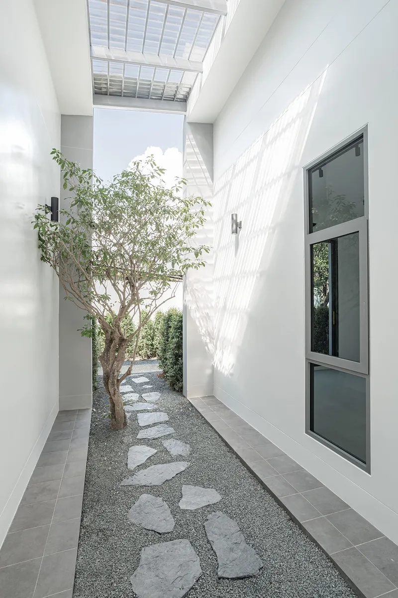 Narrow side courtyard with irregular stone pavers in gravel and a single tree beneath louvered skylight