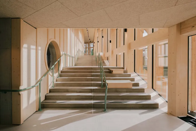 Timber staircase with glass railing ascending through a naturally lit corridor with vertical wood slat walls