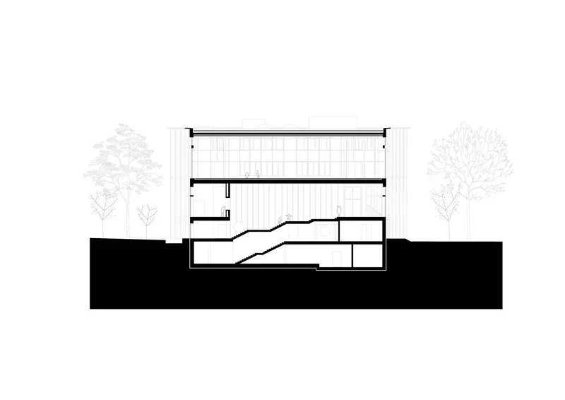 Section drawing through the building revealing split-level interior spaces and flanking trees
