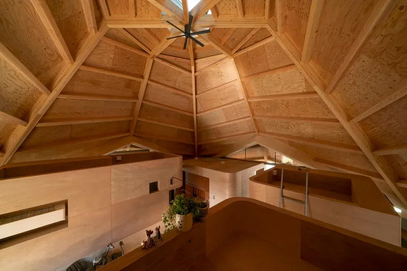 Looking up at the pyramidal plywood ceiling with radiating beams and plywood-paneled interior volumes below
