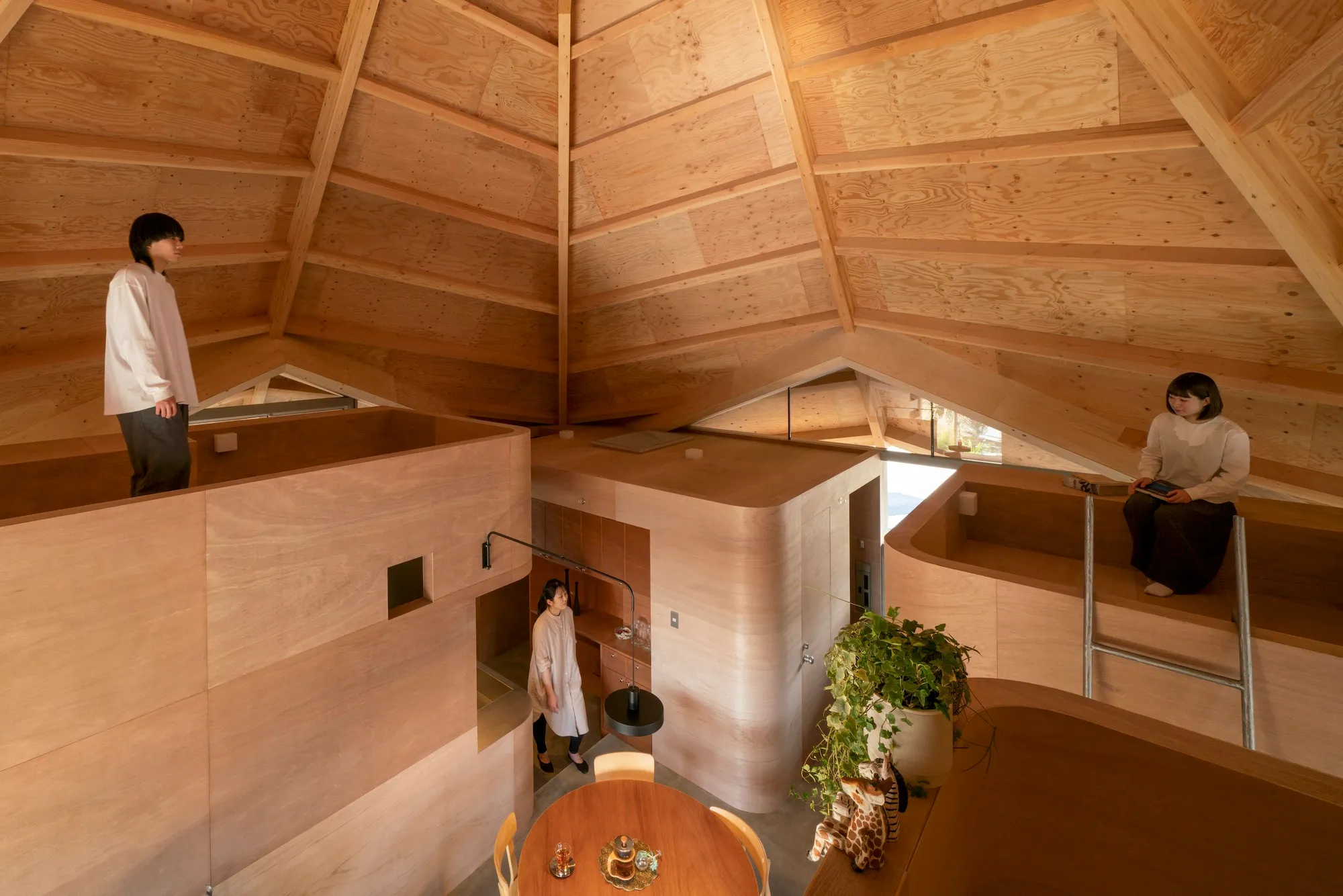 UID Architects Suspends a Spider-Web Roof Over Four Plywood Boxes in Suburban Japan