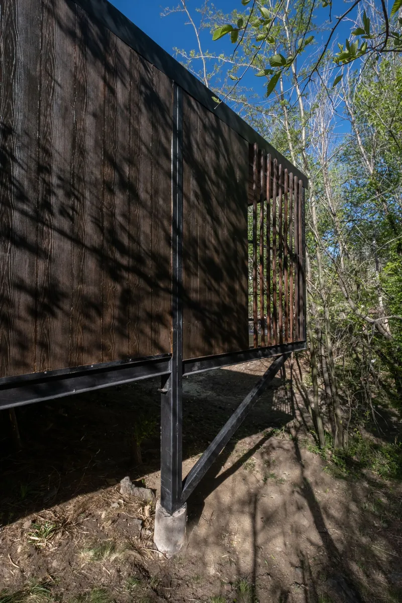 Elevated timber volume on steel columns with shadow patterns from surrounding trees