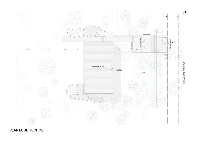 Roof plan drawing showing horizontal decking lines and adjacent landscape elements with tree symbols