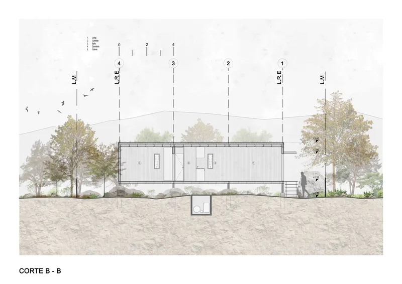 Section drawing showing the horizontal volume elevated above grade with trees on both sides