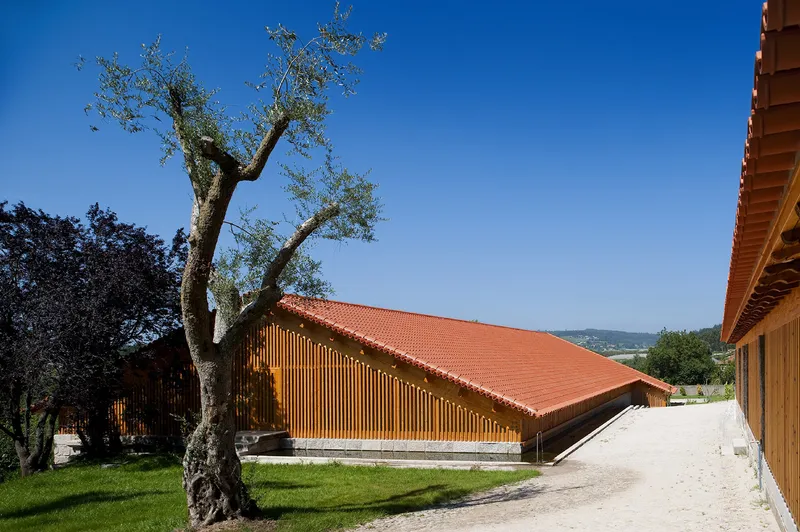 Long view of the timber-clad volume with terracotta tile roof beside a gnarled olive tree under clear blue sky