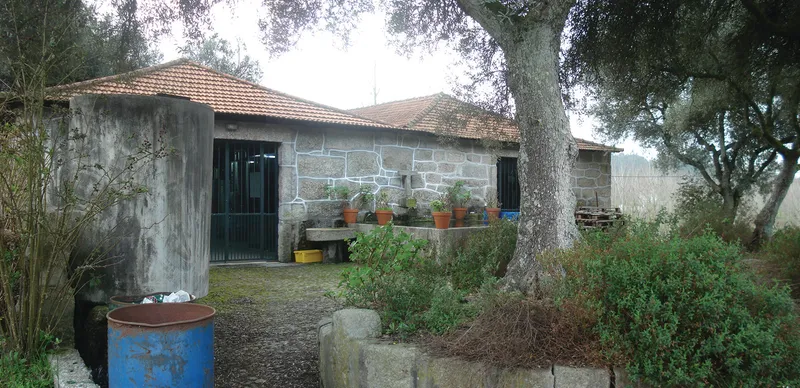 Stone block outbuilding with terracotta tile roof surrounded by trees and planted pots in the mist