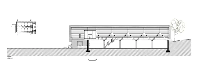 Section drawing showing exposed timber roof trusses over an open interior with a stair and adjacent tree