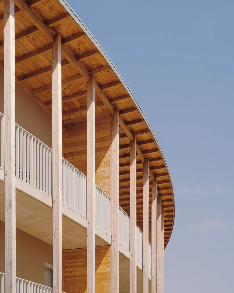 Close-up of the curved timber roof with exposed rafters and vertical wood slat screens under clear sky