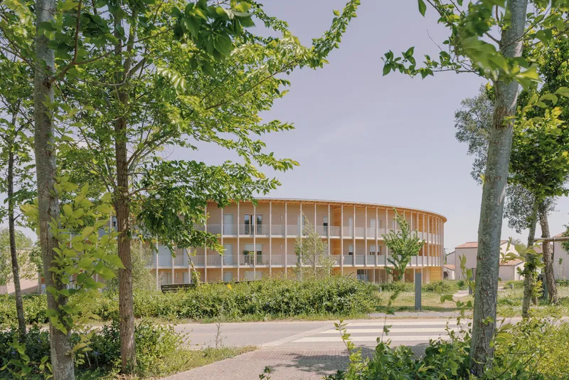 Curved wood and glass facade seen through a row of birch trees along a paved path