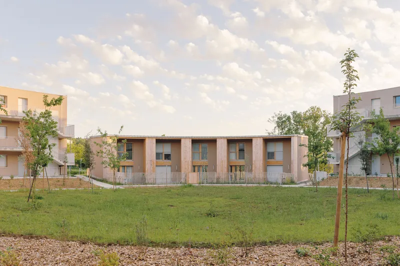 Linear volume with timber-clad facade and vertical screening in a newly planted landscape