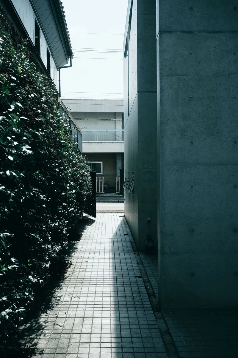 Narrow exterior passageway between a concrete wall and dense ivy with paved tile flooring
