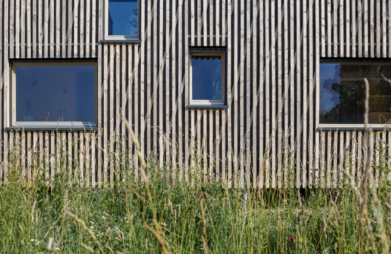 Close-up of the striped timber cladding and window openings with wildflowers in the foreground