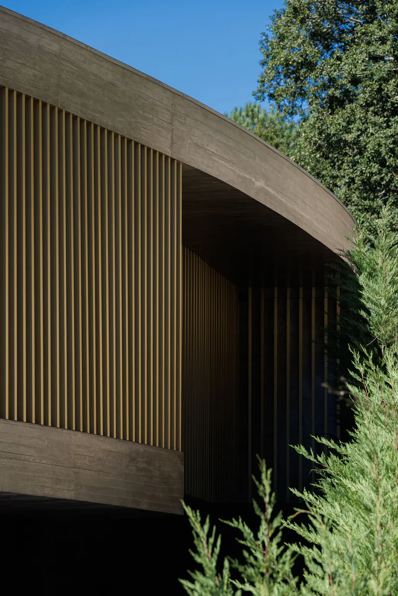Curved concrete roof edge with vertical timber screening beneath a clear blue sky