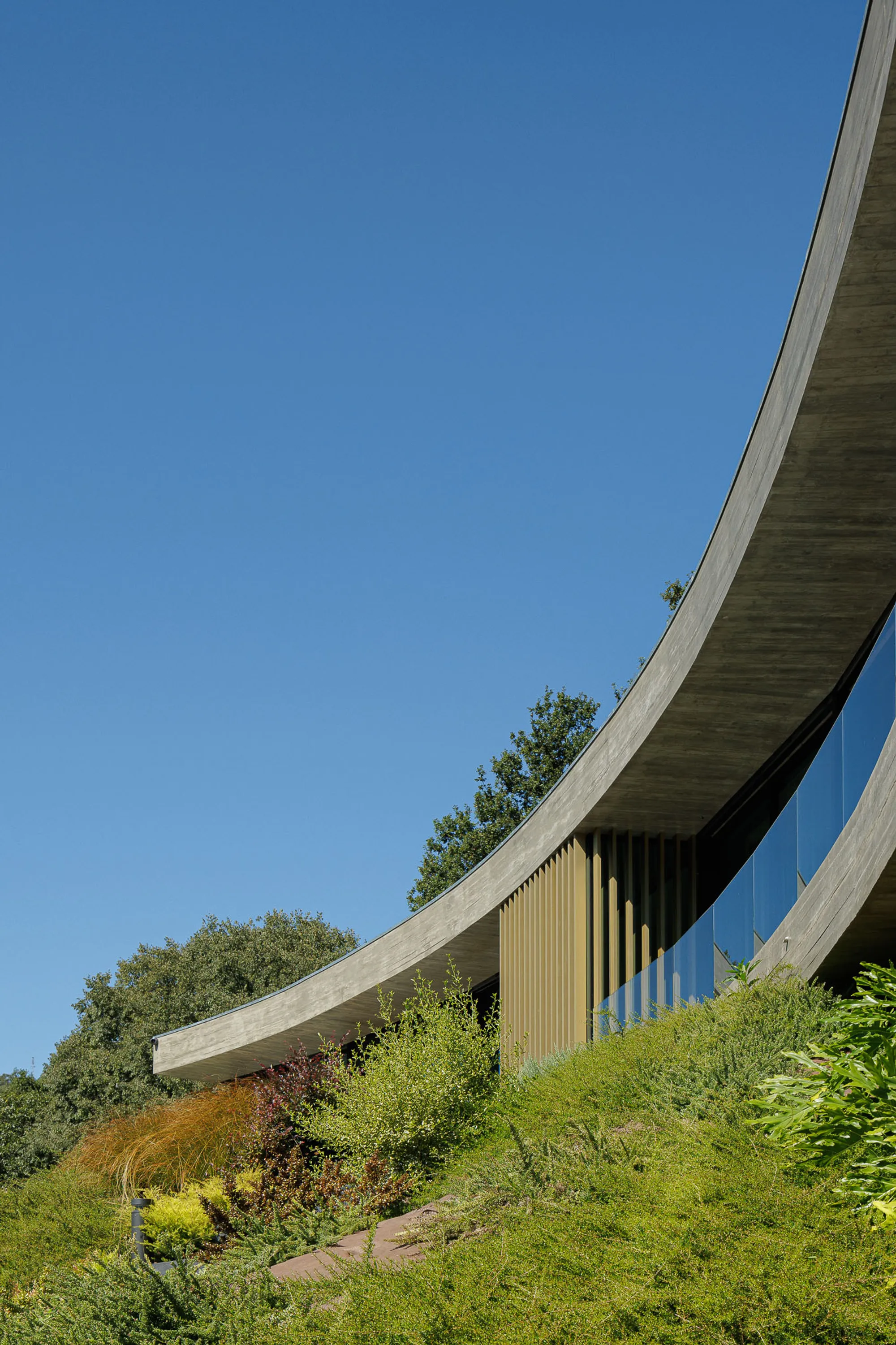 MUTANT Architecture Bends a Concrete Slab into a Hillside Embrace at Casa De Bouro