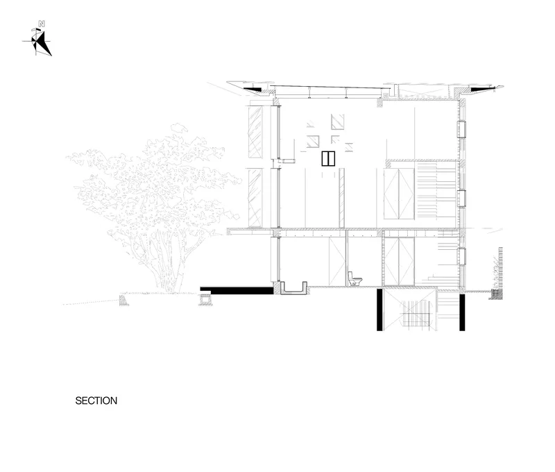 Section drawing showing interior spaces with a tree on the left and overhanging roof detail