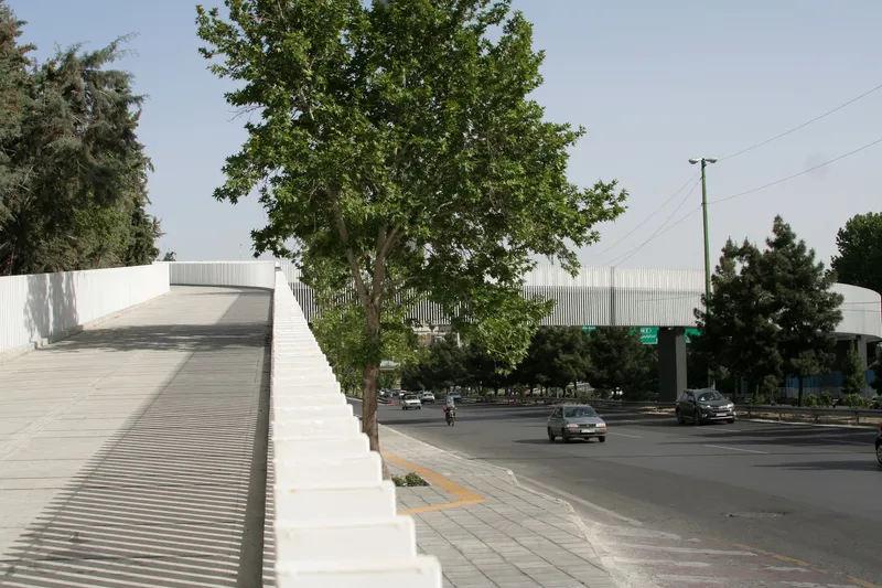 Pedestrian bridge with ribbed metal parapet spanning over a tree-lined boulevard with passing cars
