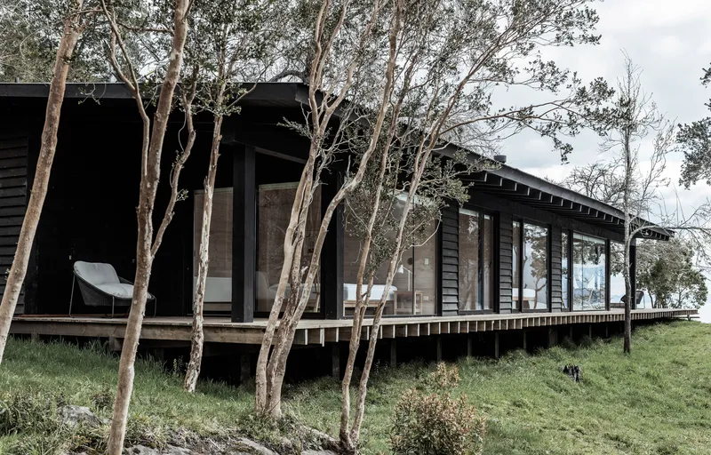 Elevated timber deck and continuous glazing along the lakeside elevation framed by slender eucalyptus trunks