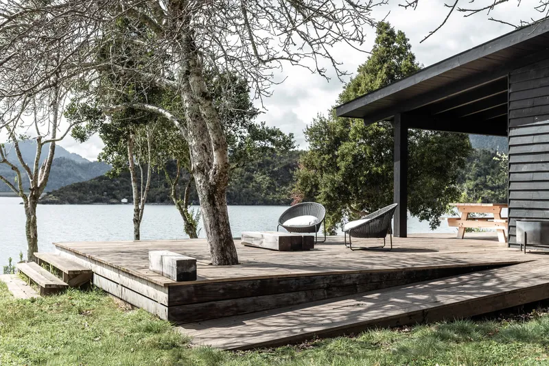 Raised timber terrace with integrated planters and a tree trunk penetrating the deck boards