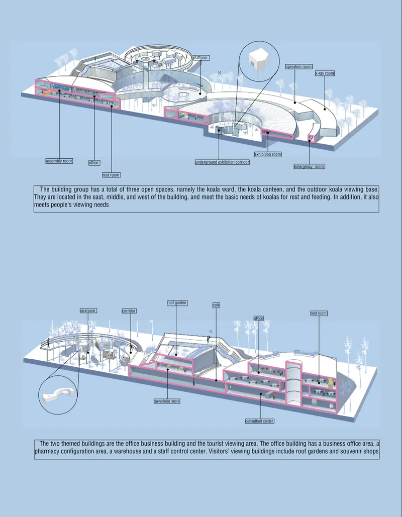 Circular rehabilitation spaces merge healthcare, ecology, and public engagement within a wildlife-centered architectural environment.