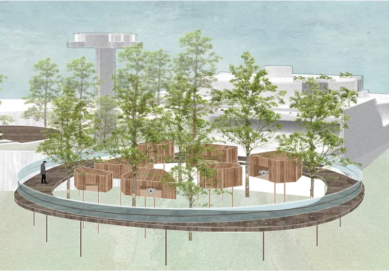 Elevated timber habitats within eucalyptus forests create protected healing environments for koalas while preserving natural landscape continuity.