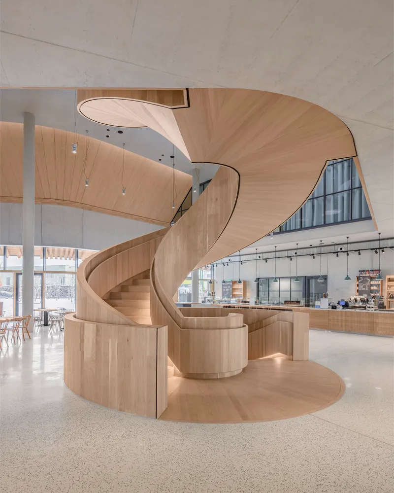 Helical timber staircase with glass balustrade rising through the double-height interior with concrete ceiling