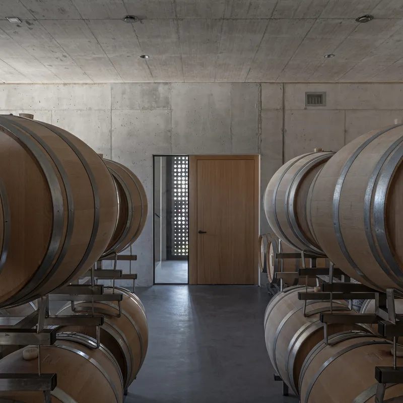 Symmetrical view of oak barrel rows flanking a timber door with a perforated screen beyond
