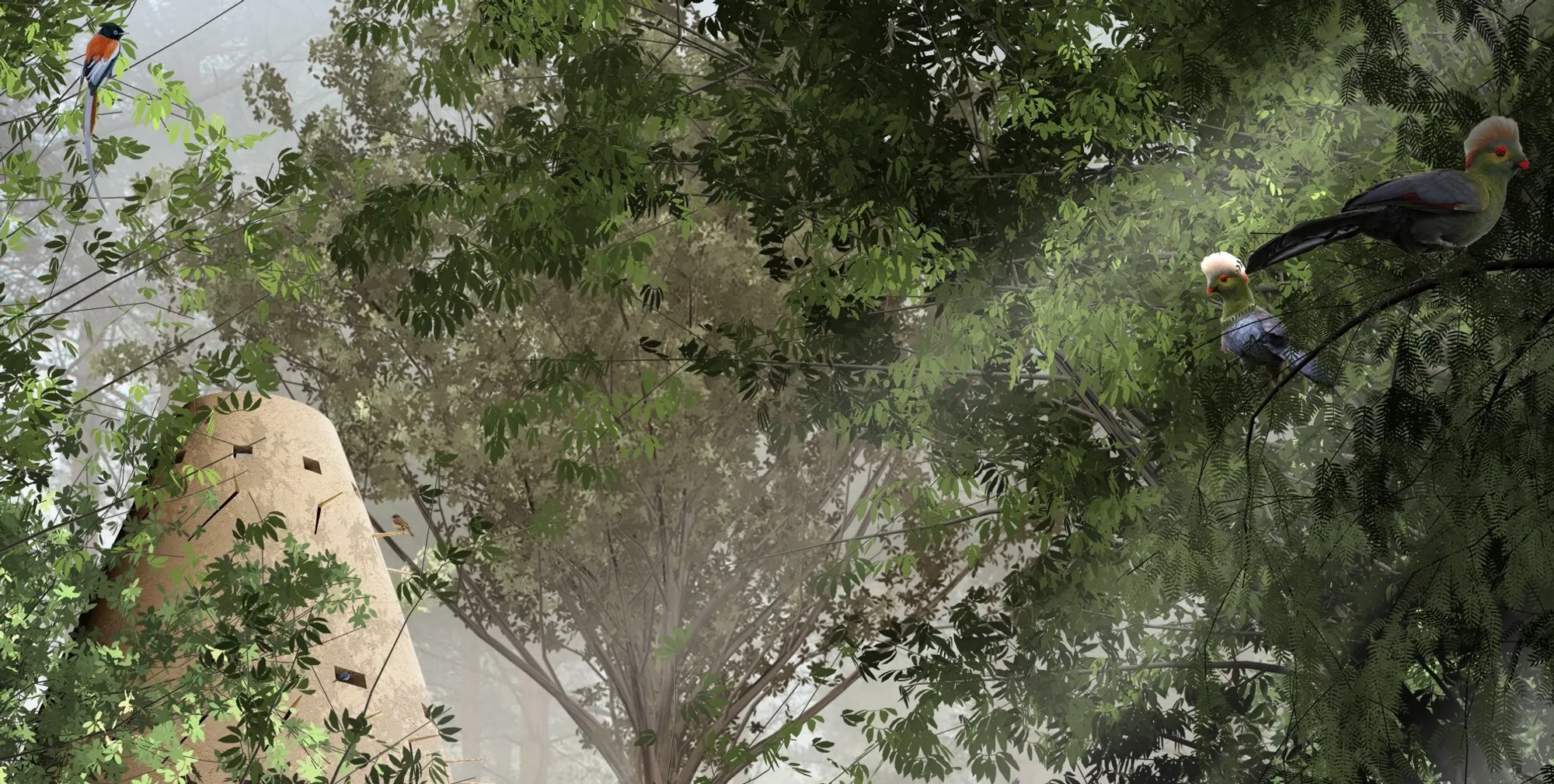 Silva Loop: Sustainable Landscape Architecture Rebuilding Ethiopia’s Forest Ecosystems