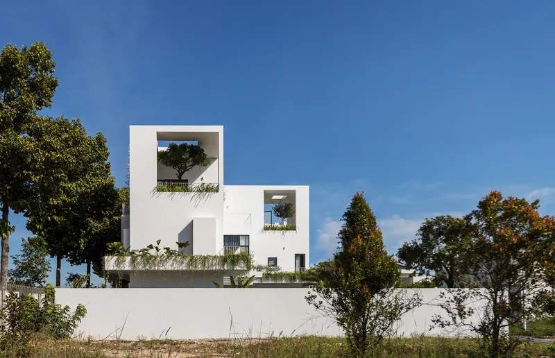 White stucco facade with framed cutout terraces holding trees against a clear blue sky