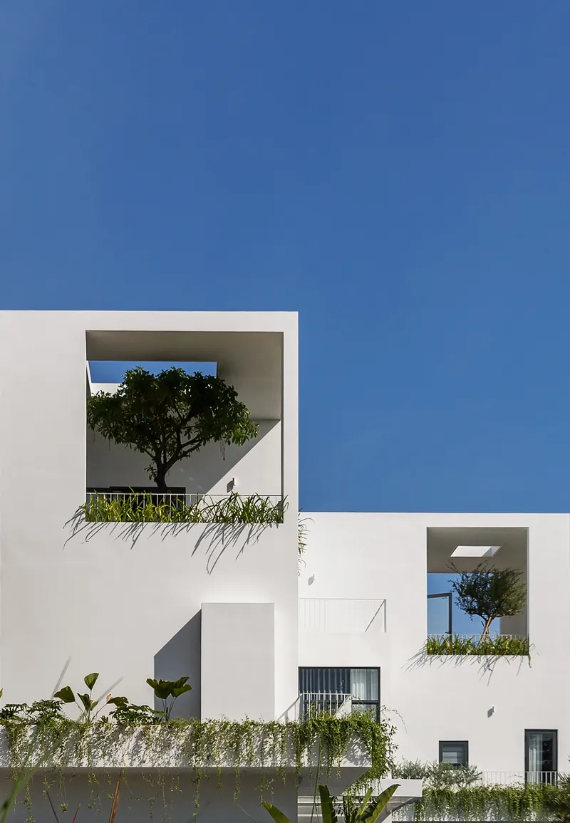 Stacked white volumes with recessed planter boxes framing a tree against a clear blue sky