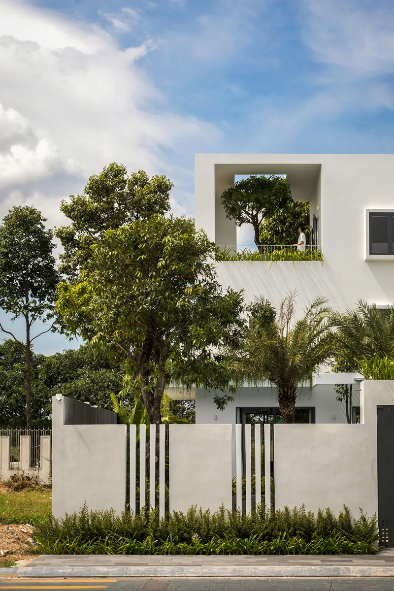 White facade with vertical slatted fence and mature trees framing a planted rooftop terrace